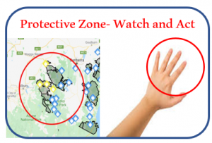 watch and act image